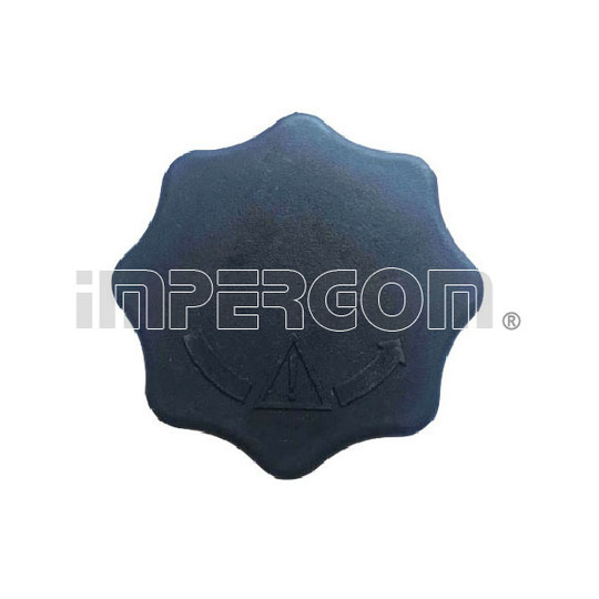 43080 - Sealing Cap, coolant tank 