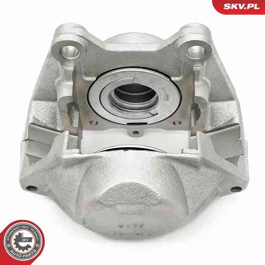 67SKV252 - Brake Caliper 