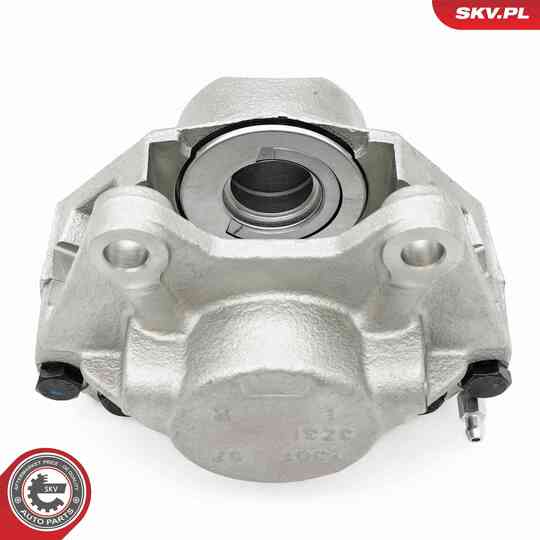 67SKV252 - Brake Caliper 