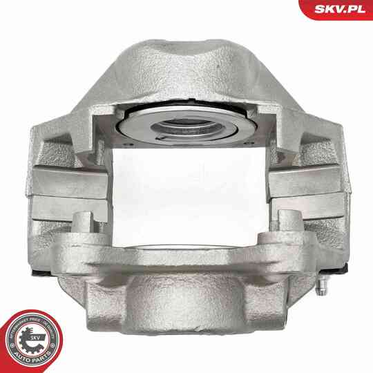 67SKV252 - Brake Caliper 