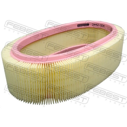 2442-004 - Air Filter 