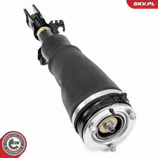 58SKV710 - Air Spring Strut 