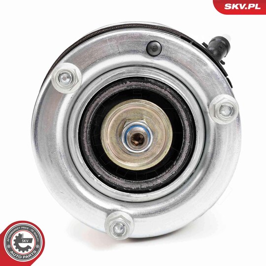 58SKV710 - Air Spring Strut 