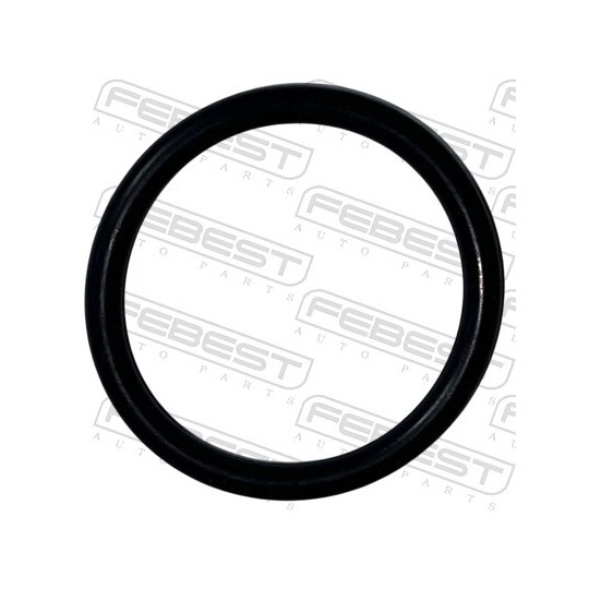 25400-001 - Gasket, coolant flange 