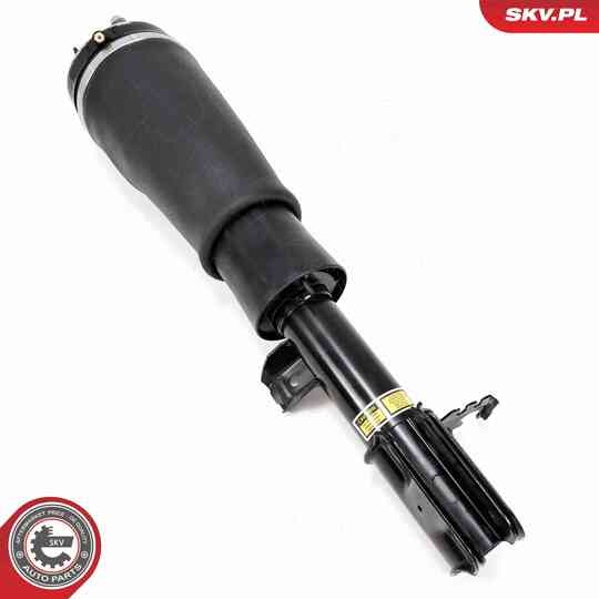 58SKV709 - Air Spring Strut 