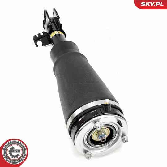 58SKV709 - Air Spring Strut 