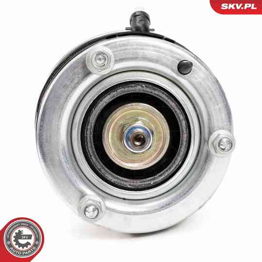 58SKV709 - Air Spring Strut 