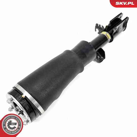 58SKV709 - Air Spring Strut 