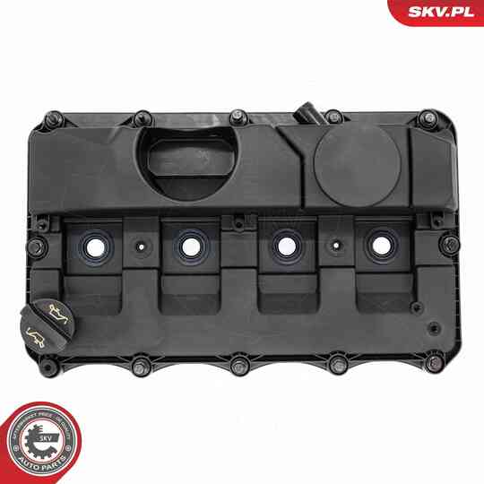 48SKV126 - Cylinder Head Cover 