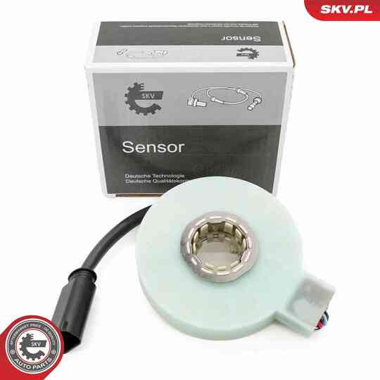 17SKV993 - Steering Angle Sensor 