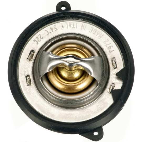 TH73954G1 - Thermostat, coolant 