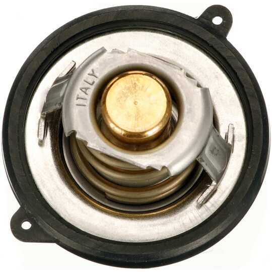 TH73954G1 - Thermostat, coolant 