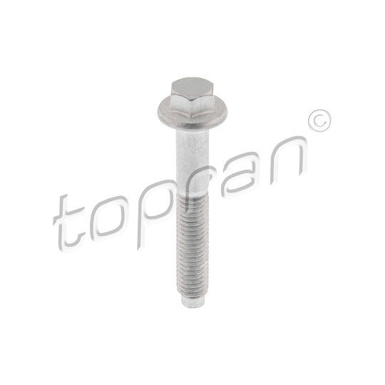 306 103 - Screw, injection nozzle holder 