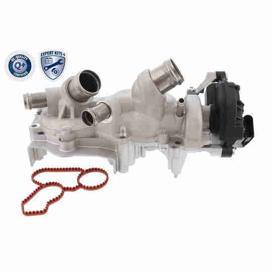 V10-50114-XXL - Water Pump & Timing Belt Set 