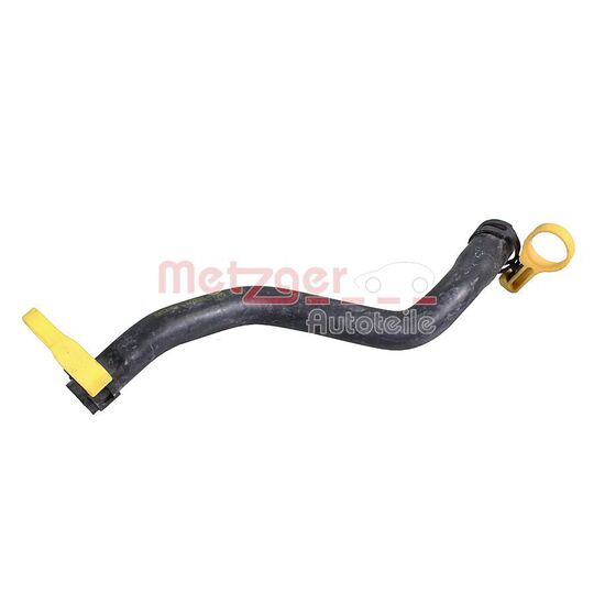 2422020 - Radiator Hose 