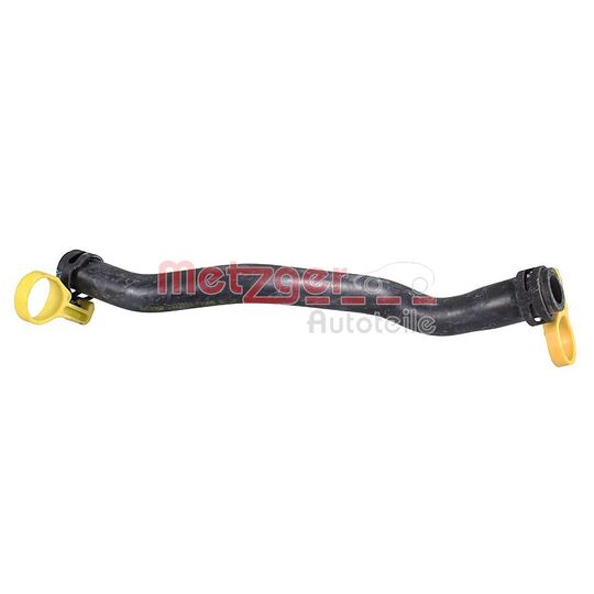 2422020 - Radiator Hose 