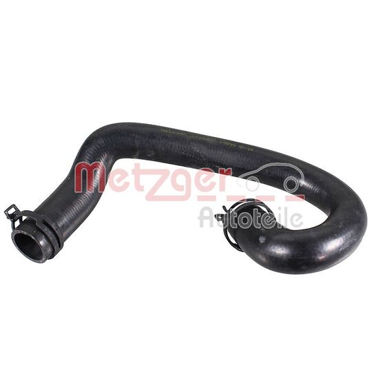 2422007 - Radiator Hose 