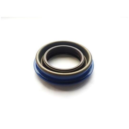 49125669 - Shaft Seal, differential 