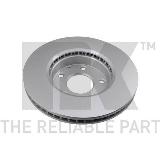 313281 - Brake Disc 