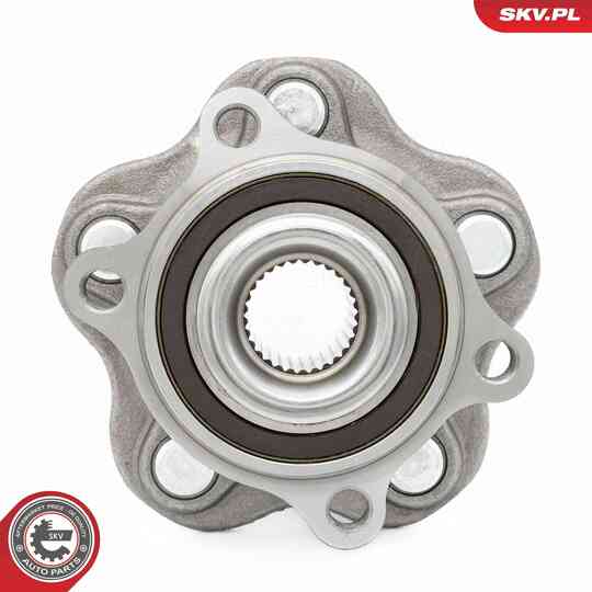 29SKV676 - Wheel Bearing Kit 