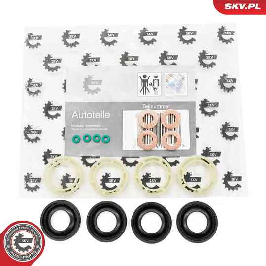 53SKV189 - Seal Kit, injector nozzle 