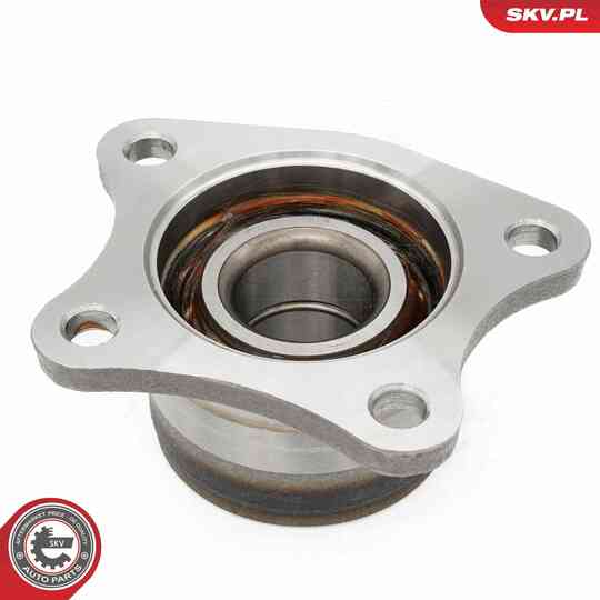 29SKV684 - Wheel Bearing Kit 