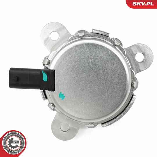 39SKV908 - Control Valve, Camshaft Adjustment 