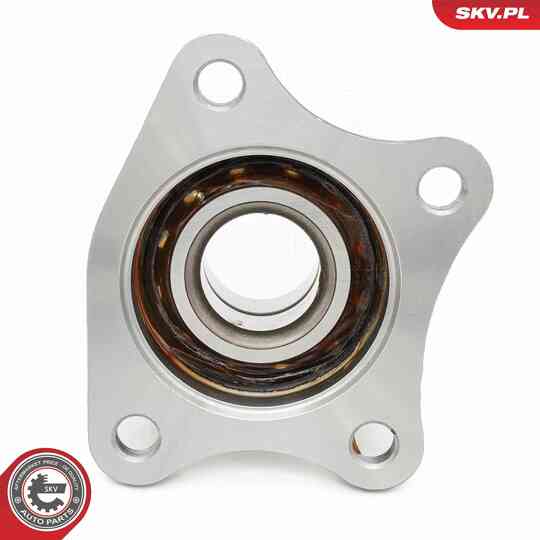 29SKV684 - Wheel Bearing Kit 