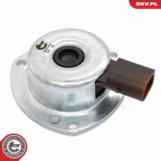 39SKV904 - Central Magnet, camshaft adjustment 