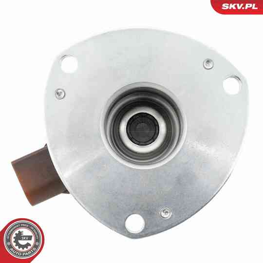 39SKV904 - Central Magnet, camshaft adjustment 