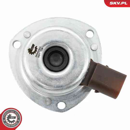 39SKV904 - Central Magnet, camshaft adjustment 