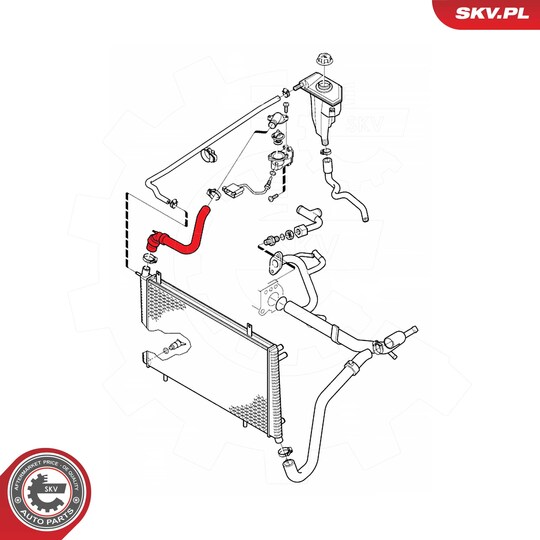 24SKV362 - Radiator Hose 