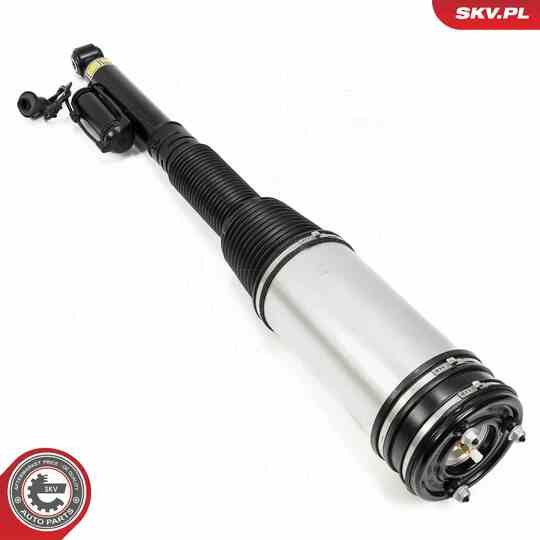 58SKV719 - Air Spring Strut 