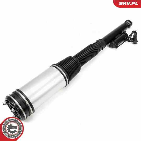 58SKV719 - Air Spring Strut 