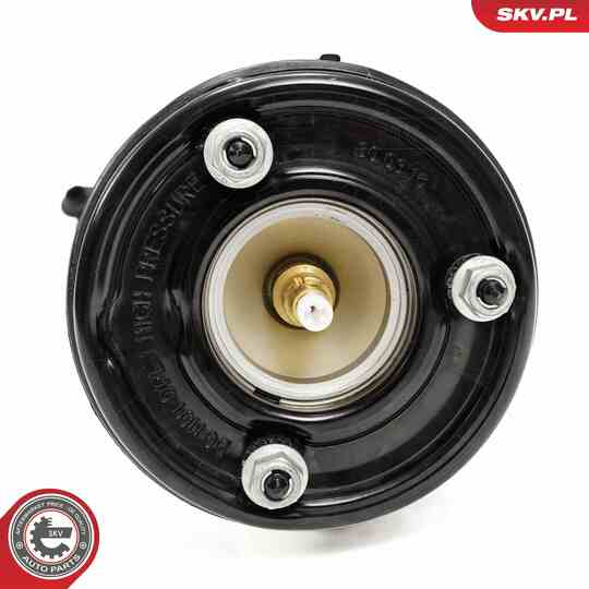 58SKV719 - Air Spring Strut 