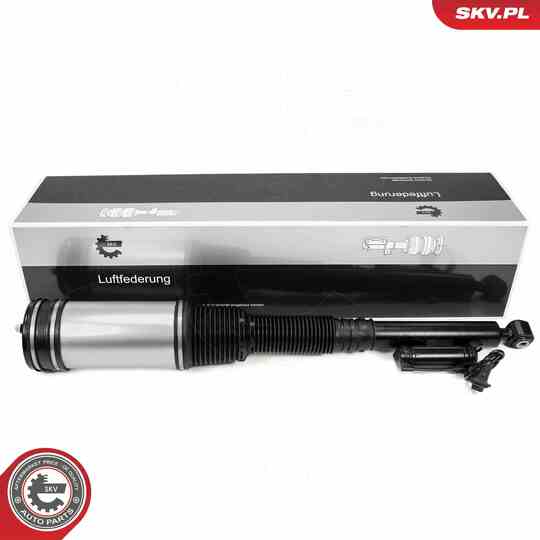 58SKV719 - Air Spring Strut 