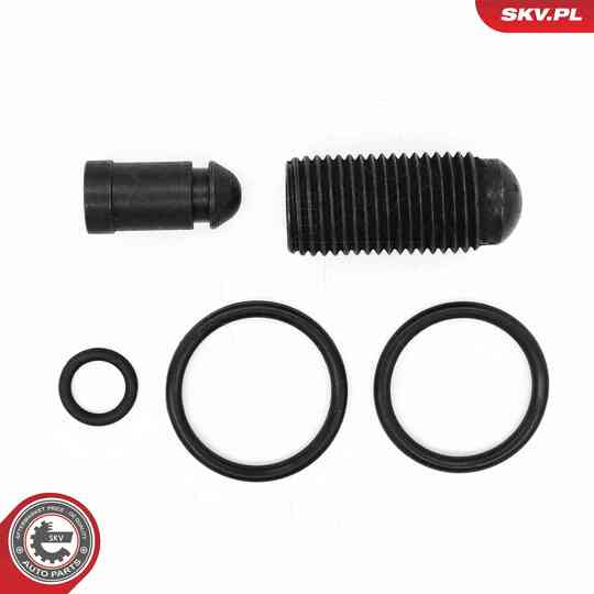 53SKV198 - Repair Kit, unit injector 