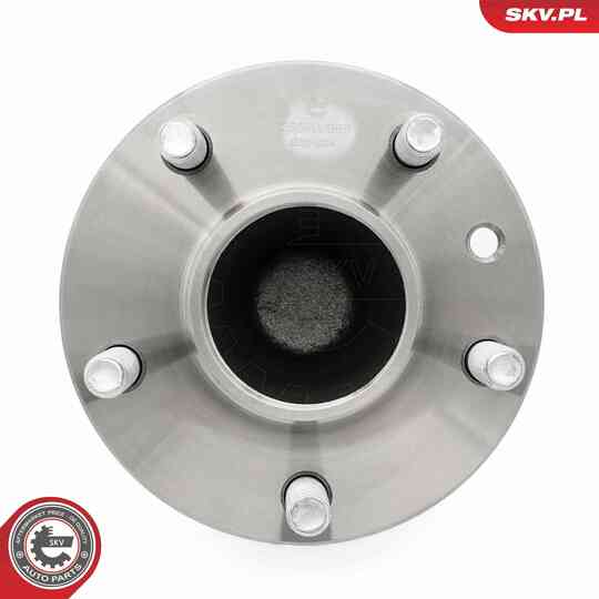 29SKV668 - Wheel Bearing Kit 