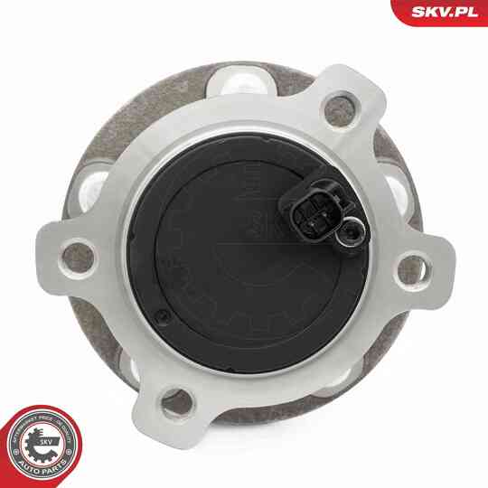 29SKV668 - Wheel Bearing Kit 