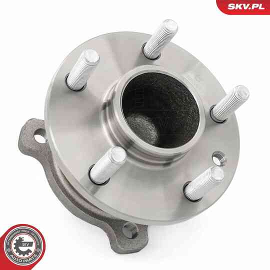 29SKV668 - Wheel Bearing Kit 