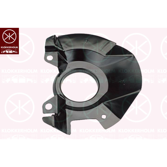 3120376 - Splash Panel, brake disc 