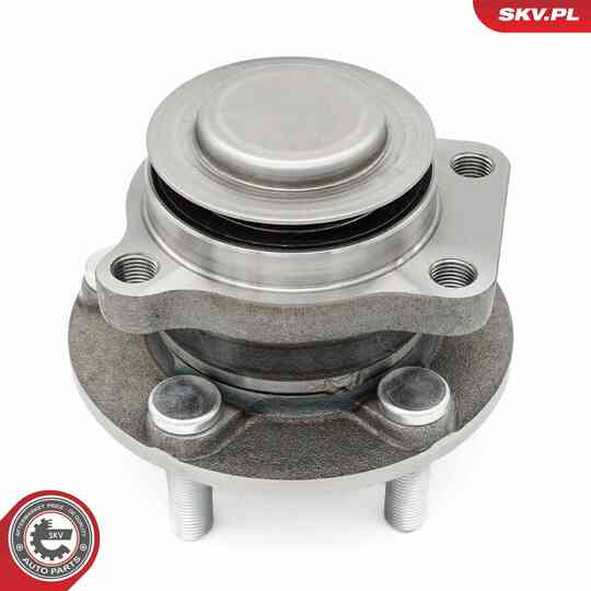 29SKV642 - Wheel Bearing Kit 