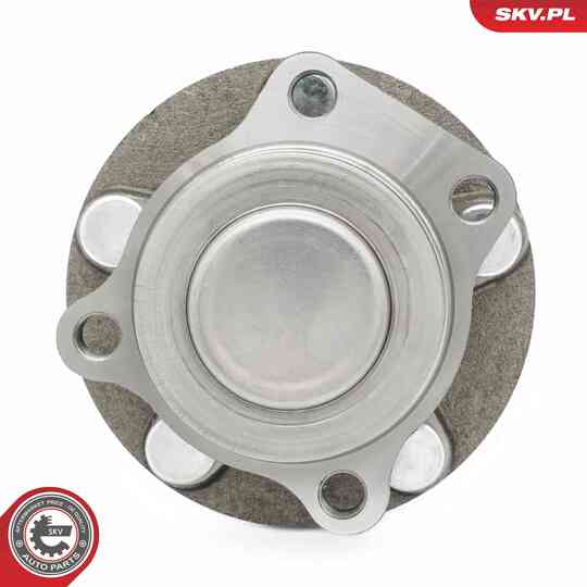 29SKV642 - Wheel Bearing Kit 