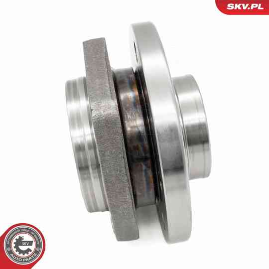 29SKV693 - Wheel Bearing Kit 