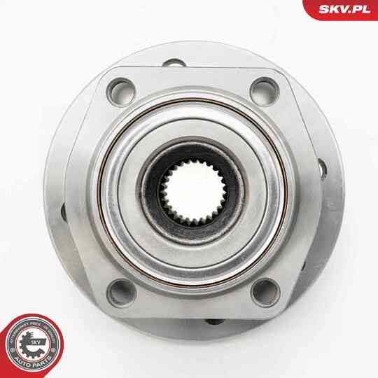 29SKV693 - Wheel Bearing Kit 