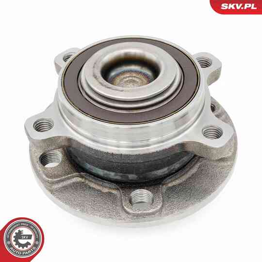 29SKV692 - Wheel Bearing Kit 