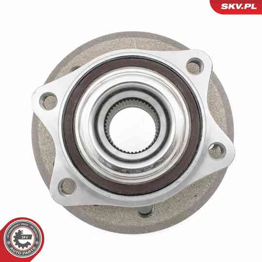 29SKV689 - Wheel Bearing Kit 