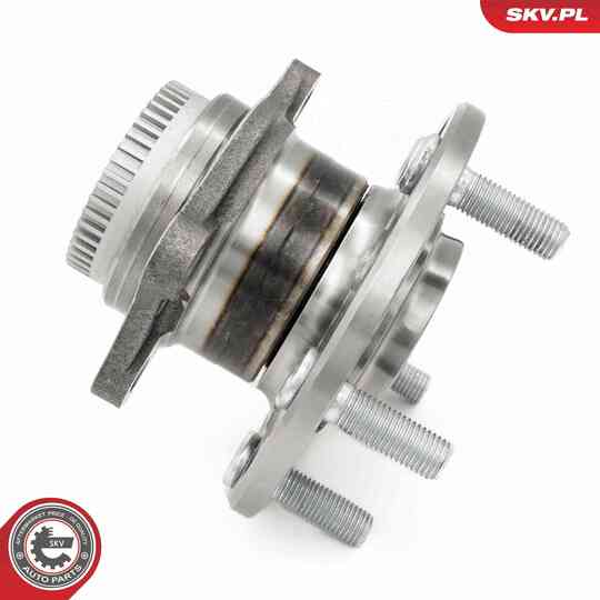 29SKV669 - Wheel Bearing Kit 