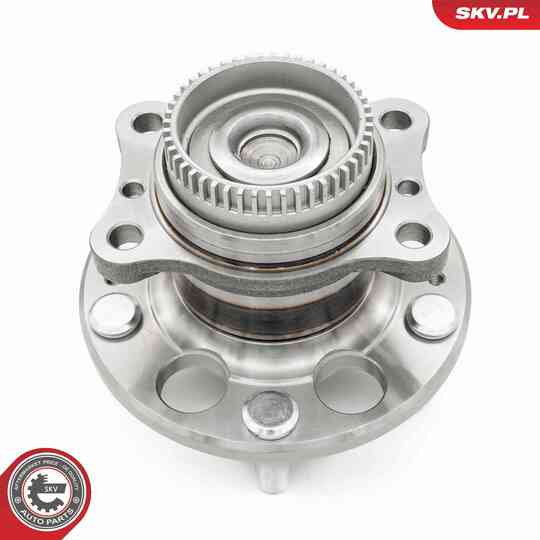 29SKV669 - Wheel Bearing Kit 