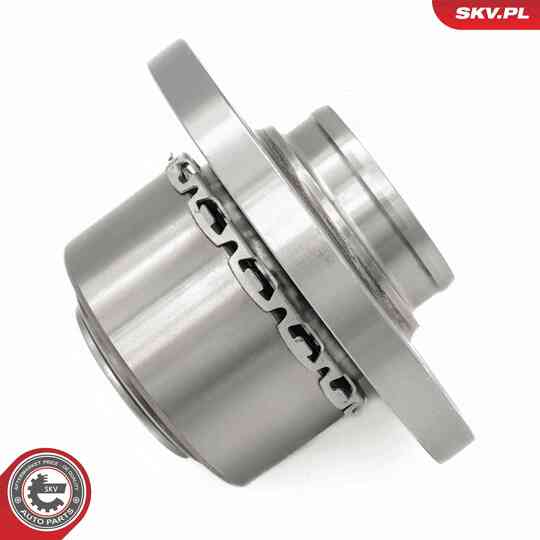 29SKV695 - Wheel Bearing Kit 